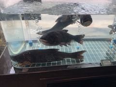 -湘轩·土菜研究院(光大店)