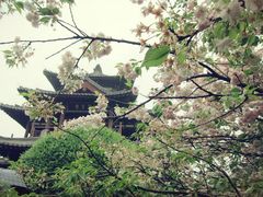 -西安青龙寺遗址景区