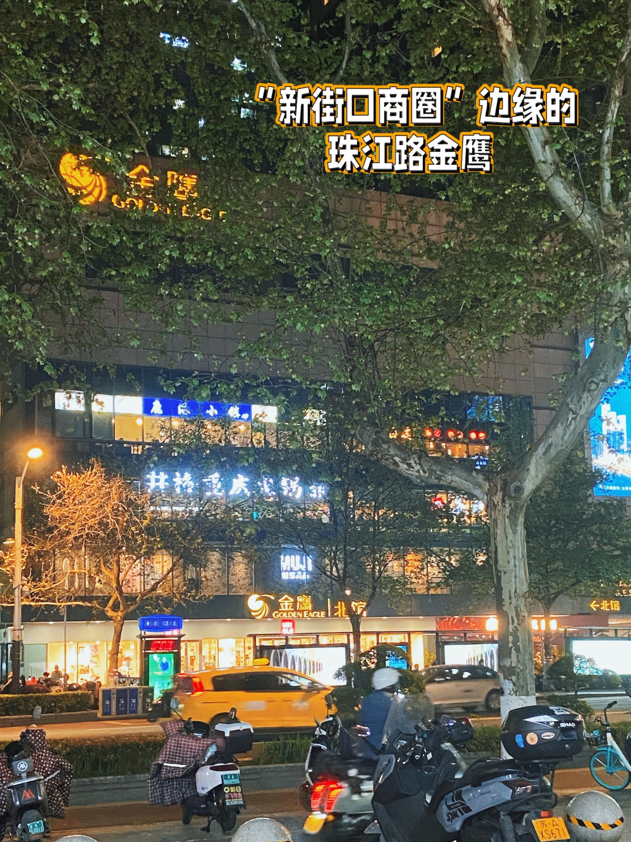 珠江路金鹰图片