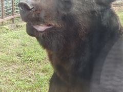 -祥源·阜阳生态乐园