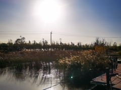 -天津东丽湖风景区