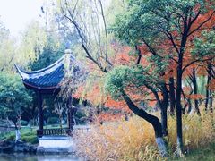 -瀛洲公园