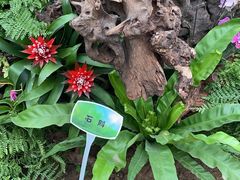 -石家庄市植物园