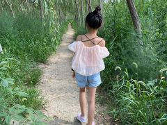 -西青郊野公园