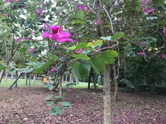 -白沙门生态公园