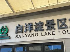 -白洋淀景区
