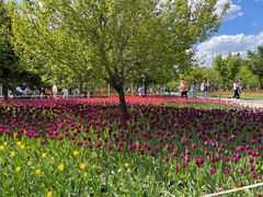 -长春公园(普阳街道)