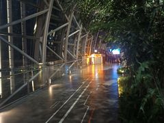 -WFC会仙楼观景台