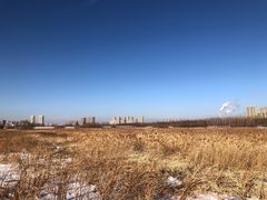 -哈尔滨大剧院