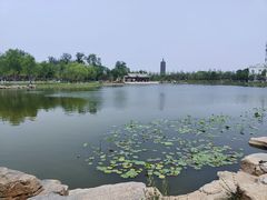 -西海子公园