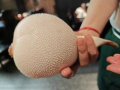 -永安鱼庄·镇江菜(东吴路店)