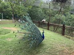 -鄱阳湖国家湿地公园