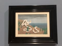 -旧金山现代艺术博物馆