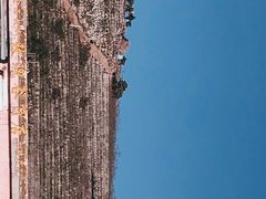 -妙峰山风景名胜区