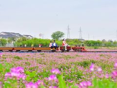 -武汉紫薇都市田园