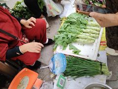 -海窝子古镇