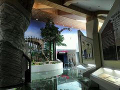 android_upload_pic-延庆地质公园博物馆