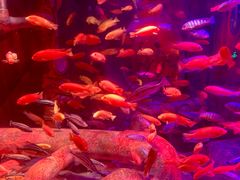 -沈阳海洋探索中心