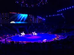 -珠海横琴长隆《卡卡虎奇遇记》