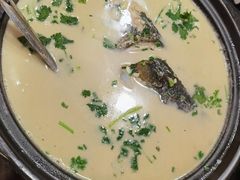 -熊刚饭店·太湖本地土菜·融合菜(天成时代广场店)