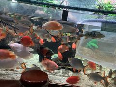 -太平洋海底世界