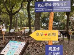 -太鲁阁公园