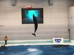 -鹿儿岛水族馆