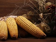 -滇野云南野生菌餐厅(陕西南路店)