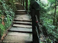 -青城山
