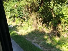 -广东茂名森林公园