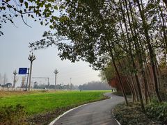 -桤木河湿地公园