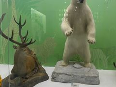 -国家自然博物馆