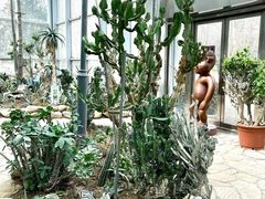 -郑州植物园