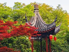 -祝家花園(伯渎港店)