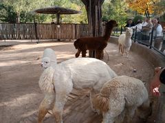 -鄂尔多斯野生动物园