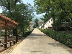 -北京鹫峰国家森林公园