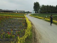 -北纬44度·金珠花海休闲农业旅游景区