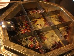 -蜀九香火锅(彩虹店)