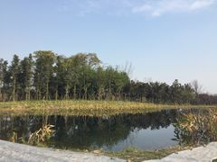 -白鹭湾湿地公园