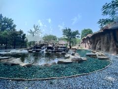 -北京野生动物园