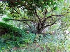 -草庵摩尼教遗址公园