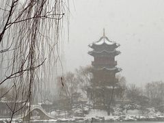 -迎泽公园