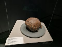 -北京周口店北京人遗址博物馆