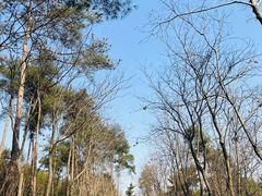 -南京金牛湖风景区