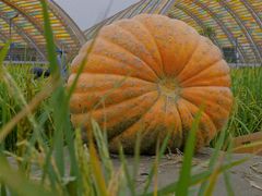 -中国天府农业博览园