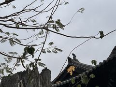 -海珠湖公园