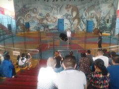 -新疆天山野生动物园