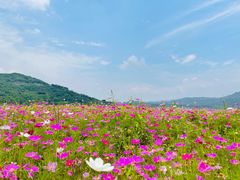 -木洞河街