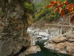 -黑河国家森林公园