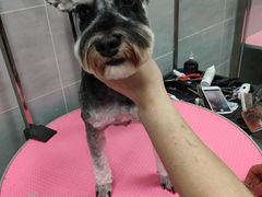 -宠福鑫康馨动物医院·骨科·眼科
